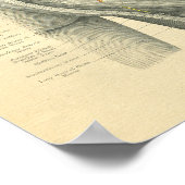 ヴィンテージフローゼお尻&脚の解剖学 ポスター (角)