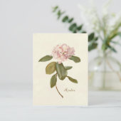 ヴィンテージフローラはがきピンクアザレア植物体 ポストカード (スタンド正面)