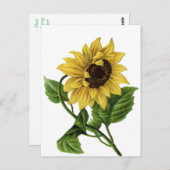 ヴィンテージフローラひまわり黄色と緑の花 ポストカード (正面/裏面)