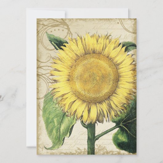 ヴィンテージフローラひまわり – 秋秋の結婚式 招待状 (裏面)