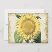 ヴィンテージフローラひまわり – 秋秋の結婚式 招待状 (裏面)