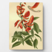 ヴィンテージフローラアートコーラルツリーエリティナクリスタガル フォトプラーク (正面)