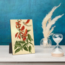 ヴィンテージフローラアートコーラルツリーエリティナクリスタガル フォトプラーク