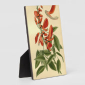 ヴィンテージフローラアートコーラルツリーエリティナクリスタガル フォトプラーク (側面)