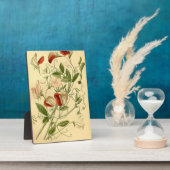 ヴィンテージフローラアートスイートピーラサイラスオドラタス フォトプラーク (側面)