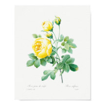 ヴィンテージフローライエローローズ