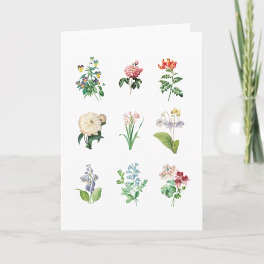 ヴィンテージフローライラストレーションミニマル植物学 カード (正面)