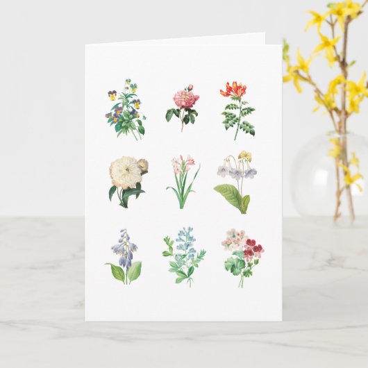 ヴィンテージフローライラストレーションミニマル植物学 カード (黄色い花)