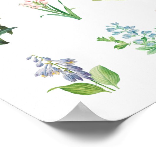 ヴィンテージフローライラストレーションミニマル植物学 ポスター (角)