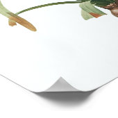 ヴィンテージフローライラストレーション植物芸術プリント ポスター (角)