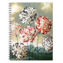 ヴィンテージフローライラスト