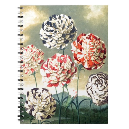 ヴィンテージフローライラスト ノートブック (正面)