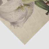 ヴィンテージフローラエフェメラデクページパープルリリー 薄葉紙 (詳細)