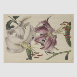 ヴィンテージフローラエフェメラデクページパープルリリー 薄葉紙