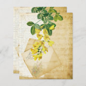 ヴィンテージフローラエフェメラ (正面/裏面)