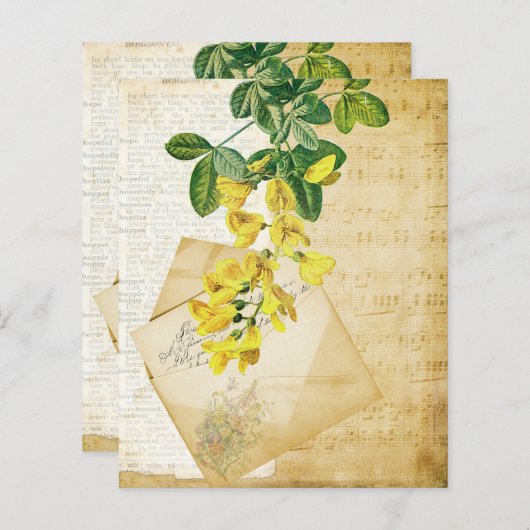 ヴィンテージフローラエフェメラ (正面/裏面)