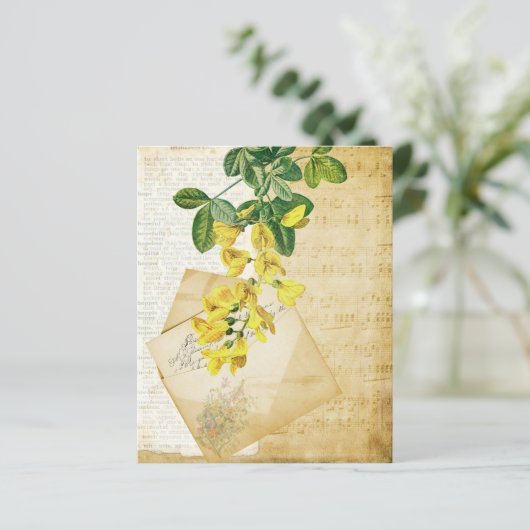 ヴィンテージフローラエフェメラ (スタンド正面)