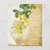 ヴィンテージフローラエフェメラ (裏面)