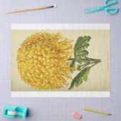 ヴィンテージフローラエフエマデクページイエローフラワー 薄葉紙 (クラフト)