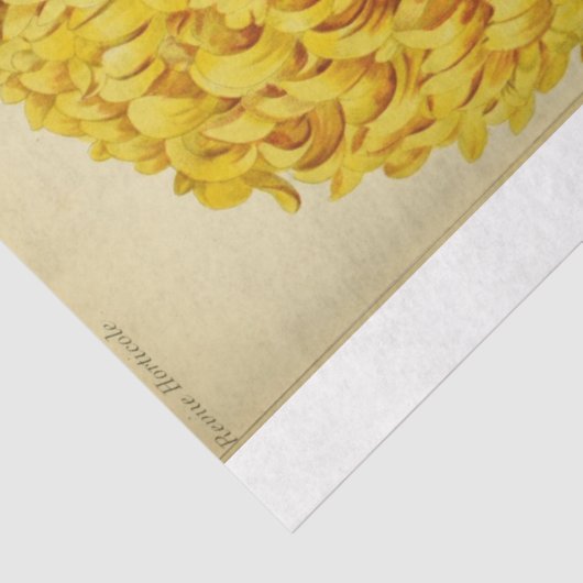 ヴィンテージフローラエフエマデクページイエローフラワー 薄葉紙 (詳細)