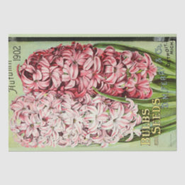 ヴィンテージフローラエフエマデコップピンク色の花 薄葉紙