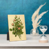 ヴィンテージフローラオレンジポンポンバラ自然植物学 フォトプラーク (側面)