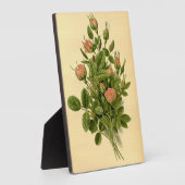 ヴィンテージフローラオレンジポンポンバラ自然植物学 フォトプラーク (側面)