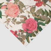 ヴィンテージフローラクリームピンクローズガーデン 薄葉紙 (詳細)