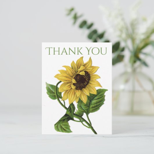 ヴィンテージフローラサンキューイエローヒマワリ花 ポストカード (スタンド正面)