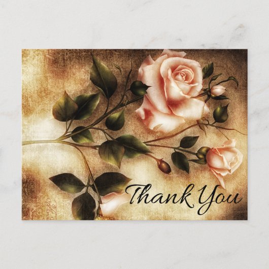 ヴィンテージフローラサンキューピンクのバラの花 ポストカード (正面)