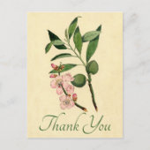 ヴィンテージフローラサンキューピンクアーモンドフラワー ポストカード (正面)