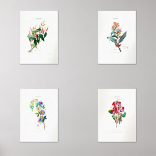 ヴィンテージフローラシャビーシックフローレDアメリクフローラ