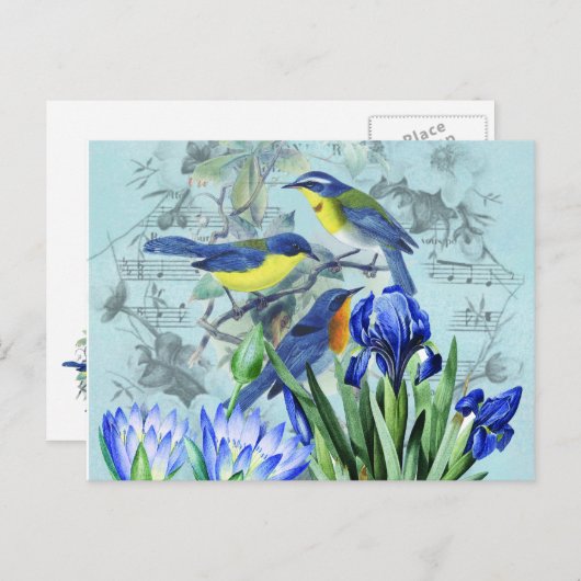 ヴィンテージフローラソンバーズアパレルとギフト ポストカード (正面/裏面)