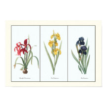 ヴィンテージフローラトリプチボタニカルアートプリント