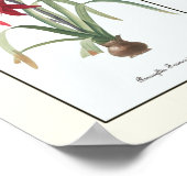 ヴィンテージフローラトリプチボタニカルアートプリント ポスター (角)