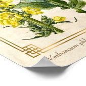 ヴィンテージフローラハーブオレンジマレイン植物芸術 ポスター (角)