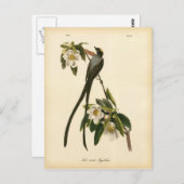 ヴィンテージフローラバードフライキャッチャー ポストカード (正面/裏面)