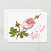 ヴィンテージフローラピンクのバラ結婚の花のバラ ポストカード (正面/裏面)