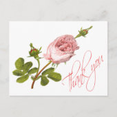 ヴィンテージフローラピンクのバラ結婚の花のバラ ポストカード (正面)