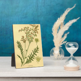 ヴィンテージフローラピーチドロップウォートウォールクロック フォトプラーク