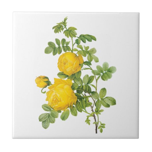 ヴィンテージフローラフラワーイエローローズバイルドート タイル (正面)
