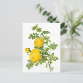 ヴィンテージフローラフラワーイエローローズバイルドート ポストカード (スタンド正面)