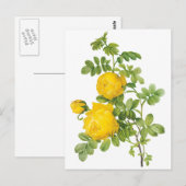 ヴィンテージフローラフラワーイエローローズバイルドート ポストカード (正面/裏面)