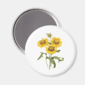 ヴィンテージフローラブランケットフラワーサンフラワーバイルドゥート マグネット (正面/裏面)