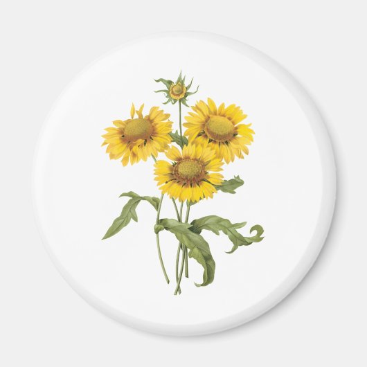 ヴィンテージフローラブランケットフラワーサンフラワーバイルドゥート マグネット (正面)