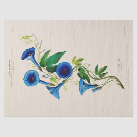 ヴィンテージフローラブルーフラワーエフェメラデコパージュ 薄葉紙 (正面)