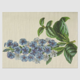 ヴィンテージフローラブルーフラワーズエフェメラデクページティス 薄葉紙