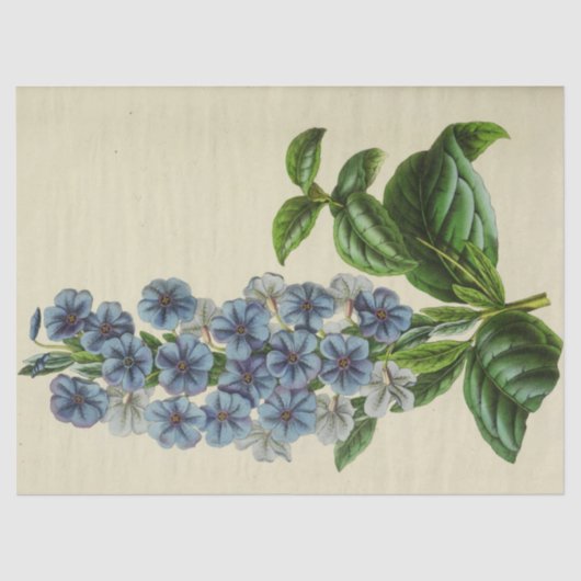 ヴィンテージフローラブルーフラワーズエフェメラデクページティス 薄葉紙 (正面)