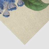ヴィンテージフローラブルーフラワーズエフェメラデクページティス 薄葉紙 (詳細)