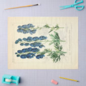 ヴィンテージフローラブルーフラワーズエフェメラデクページティス 薄葉紙 (クラフト)